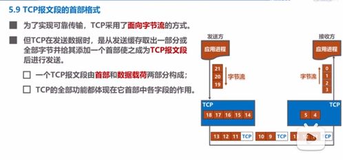 TCP報文段首部詳解與計算機網(wǎng)絡(luò)工程設(shè)計中的關(guān)鍵考量